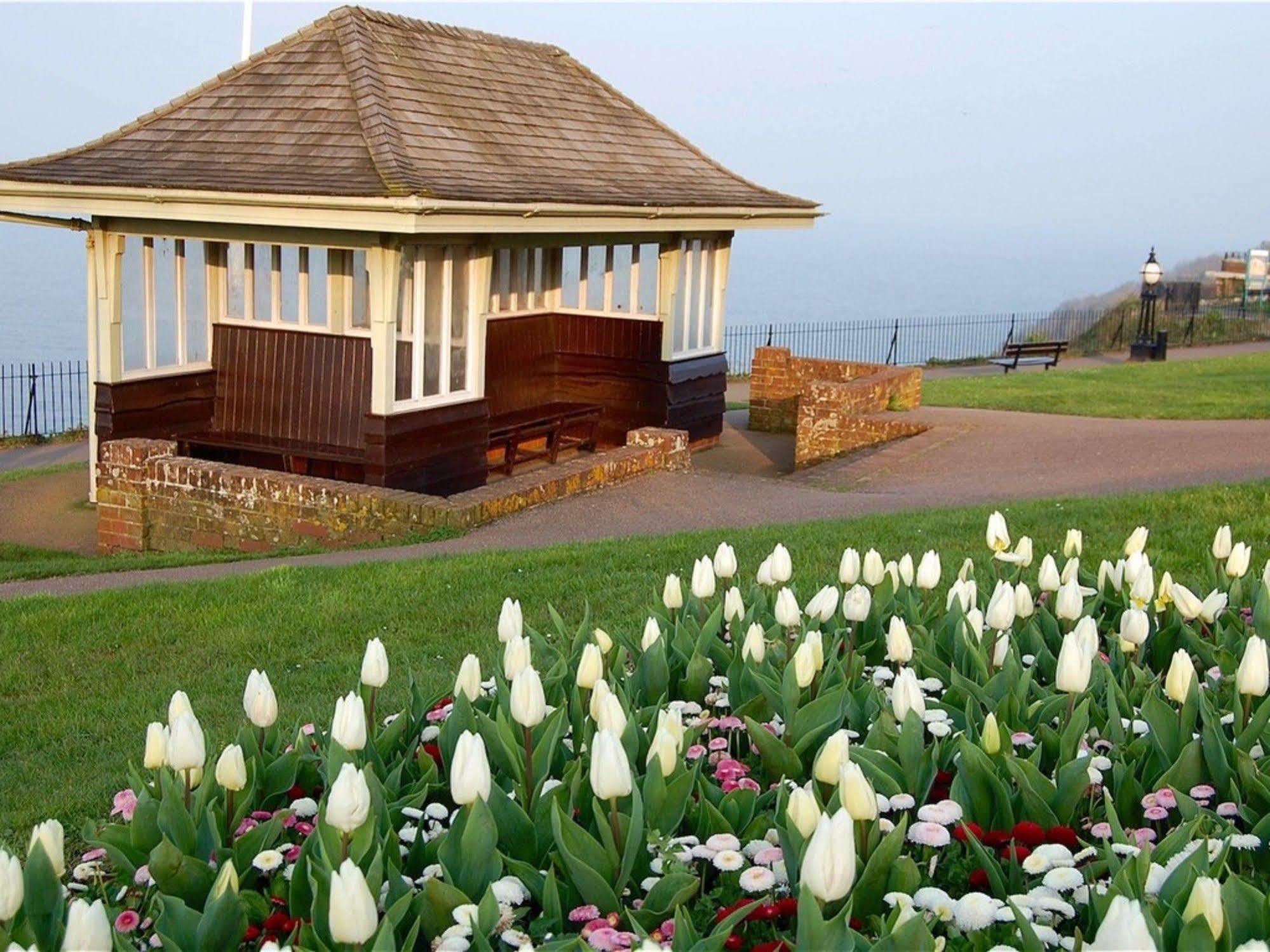 Headland View Boutique B&B Торки Экстерьер фото